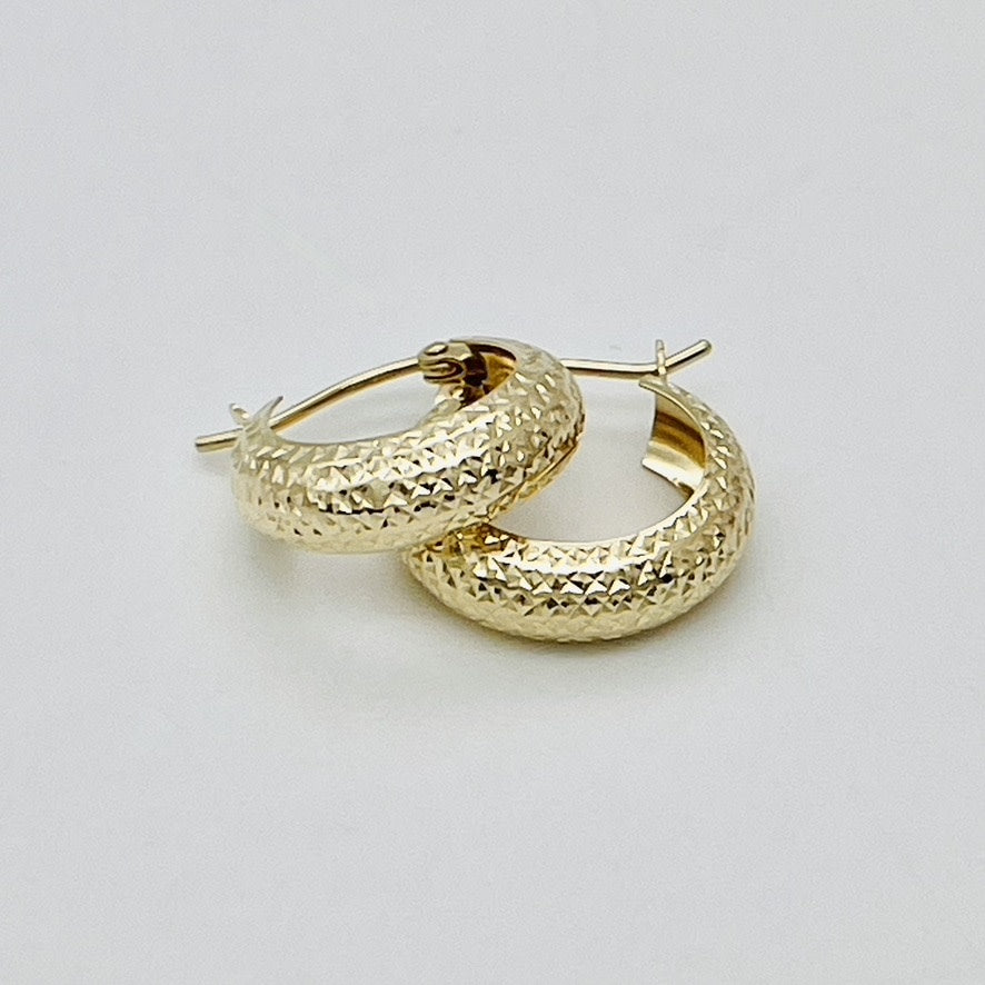 G227 14K Gold Hoops 5mm.X15mm.