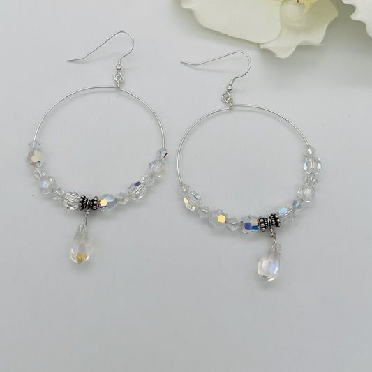 C1290ER Crystals Hoops