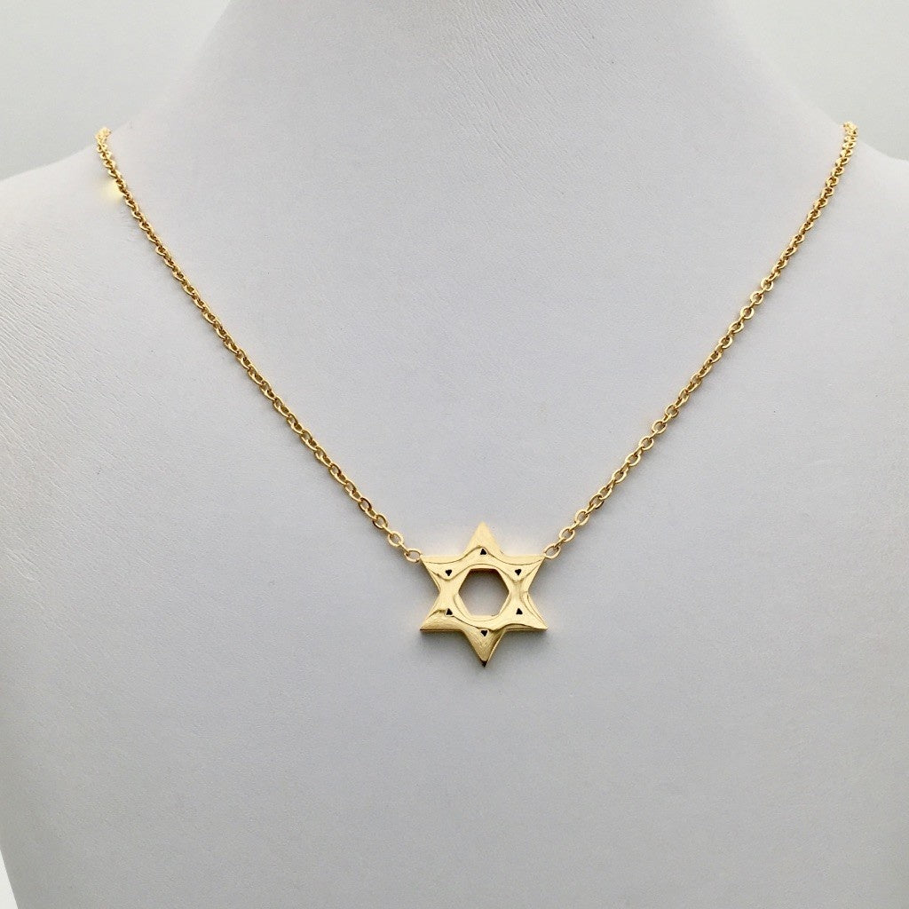 SS1338  GP Star of David Necklace