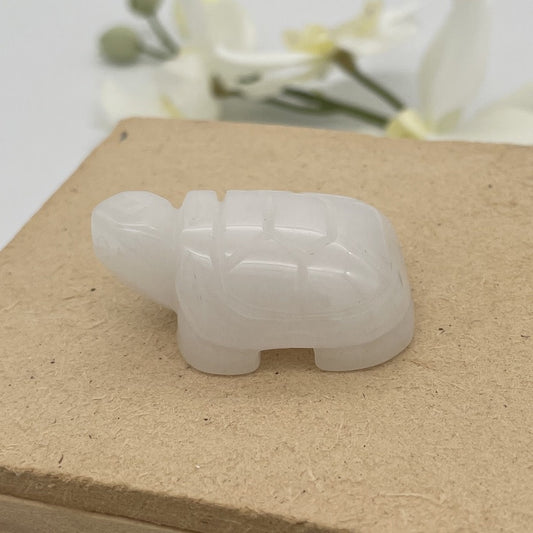 ST1583  White Jade Turtle