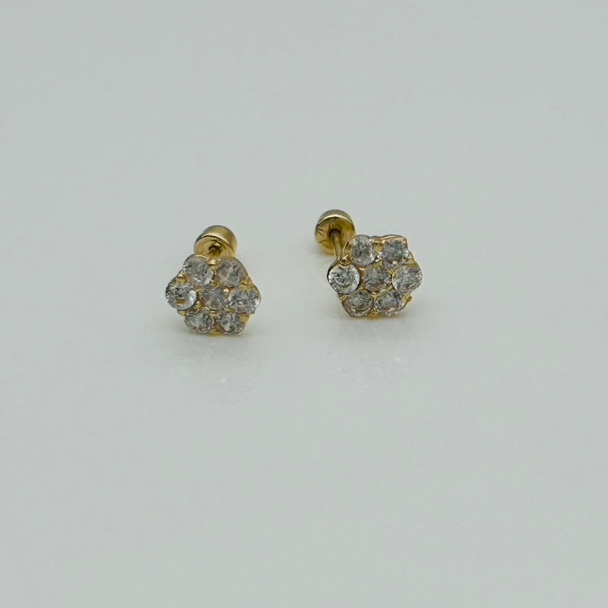 G356ER 14K Gold 5mm. Flower Earrings