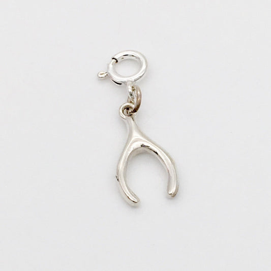 S1447 Lucky  Bone Charm