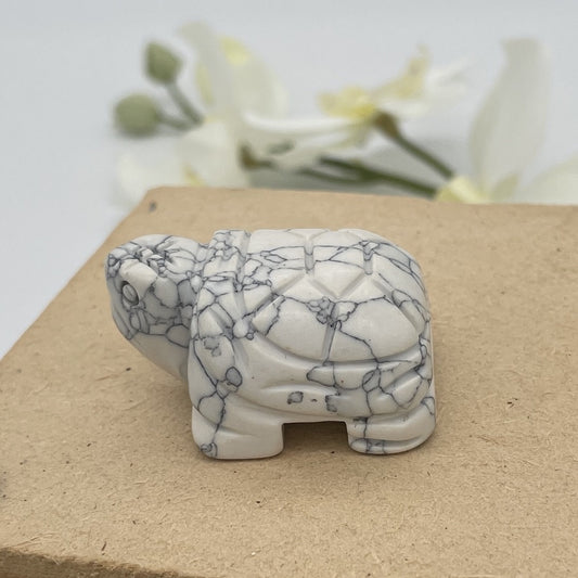 ST1583  White Turquoise Turtle