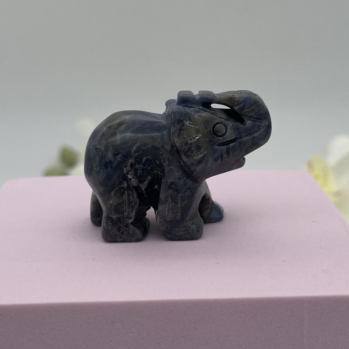 ST1518  Sodalite  Elephant 1.5"