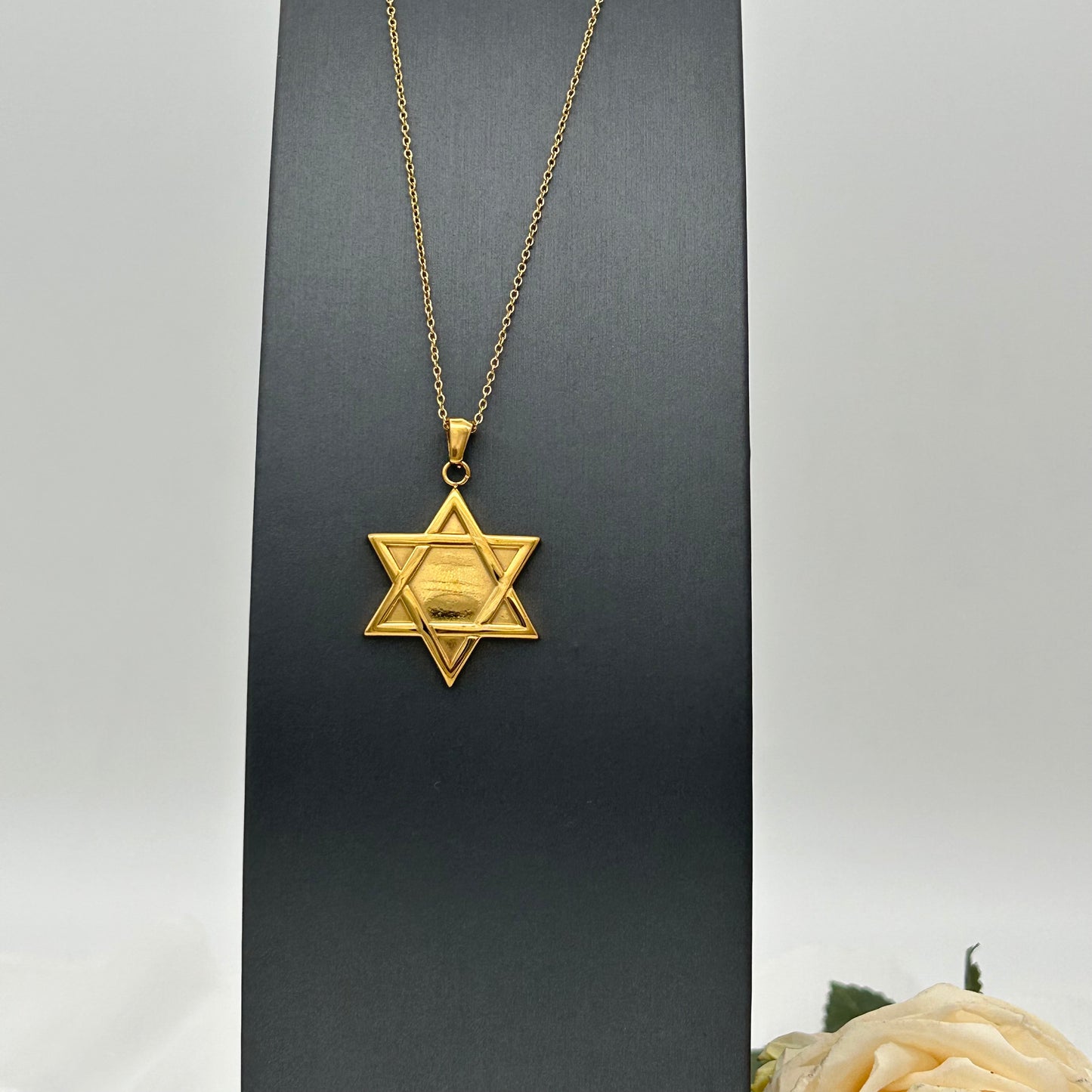 SS1466NL GP Star Of David Necklace 20"