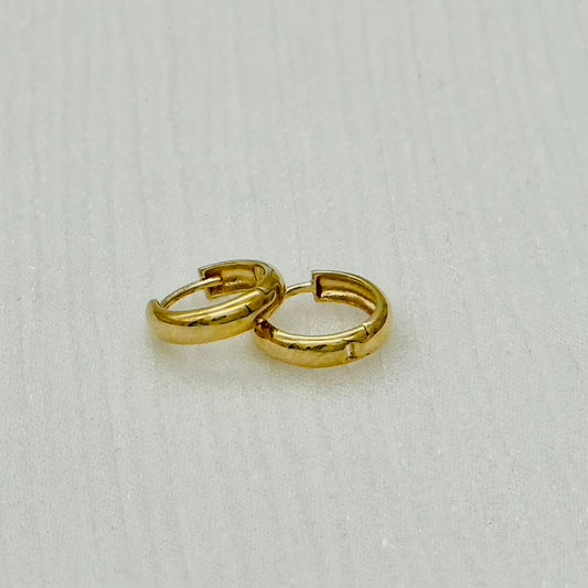 G342ER 14K Gold Hoop Earring 3x10mm